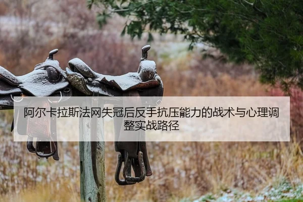 阿尔卡拉斯法网失冠后反手抗压能力的战术与心理调整实战路径