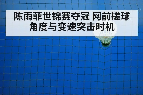 badminton net shot